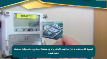 كيفية الاستعلام عن فاتورة الكهرباء ودفعها أونلاين بخطوات سهلة ومباشرة